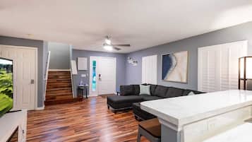 TV connectée, cheminée, lecteur de DVD, espaces bureaux