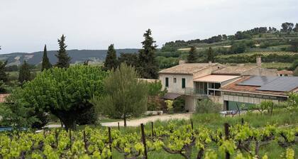 Logement Dans Mas au Milieu des Vignes