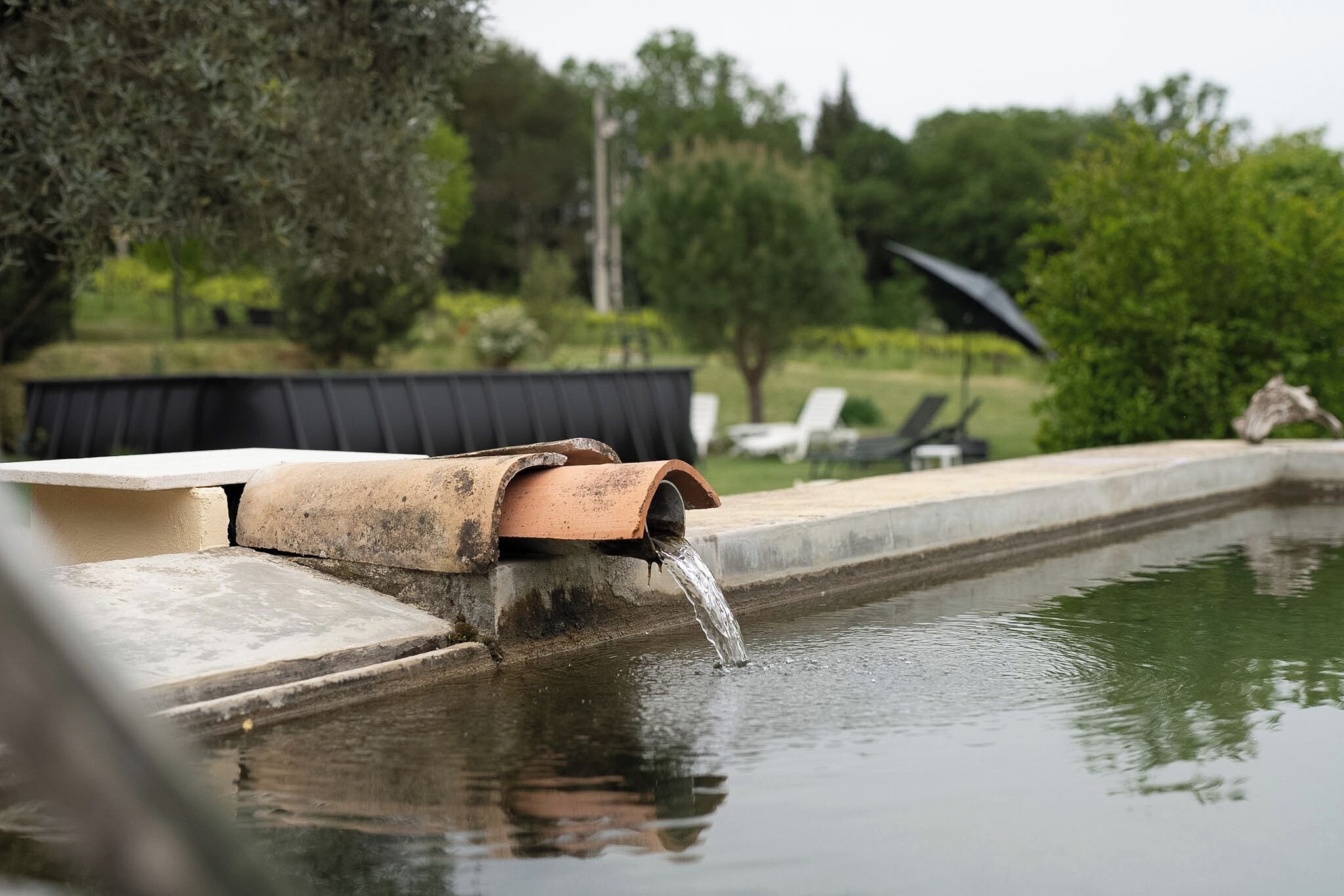 Una piscina amb una sortida d'aigua, envoltada de verdura i mobles d'exterior.