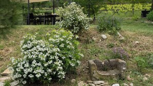 Ein Garten mit weißen blühenden Büschen, einer Steinsitzbank und einem schattigen Sitzbereich mit Tischen und Stühlen.