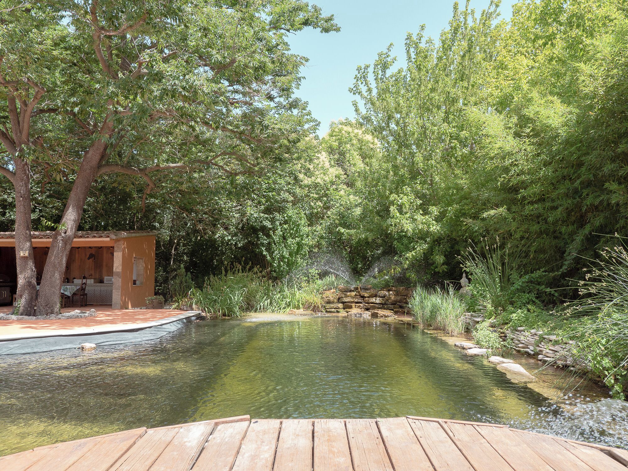 Terrein van de accommodatie