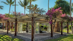 Un espacio al aire libre cubierto con cerramiento de vidrio, rodeado de palmeras y plantas con flores.