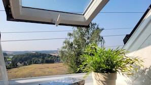 A window with a view of a rural landscape, a potted plant, and a decorative stone box. - Apartment "Weitblick" Greiz in the Vogtland for max. 6 people  (Greiz)