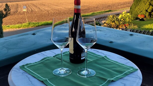 A table with a bottle of wine and two glasses on a green cloth, overlooking a rural landscape. - Apartment "Weitblick" Greiz in the Vogtland for max. 6 people  (Greiz)