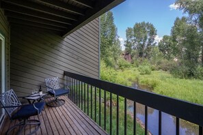 Property grounds - Riverside Dream | Short Walk to Main Street & Hike (Telluride)