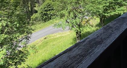 T3 FONT D'ALAGNON RDC