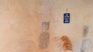 A blue chair, a wooden chest, and a vase with dried plants against a textured wall. - Apartment (Guérande)