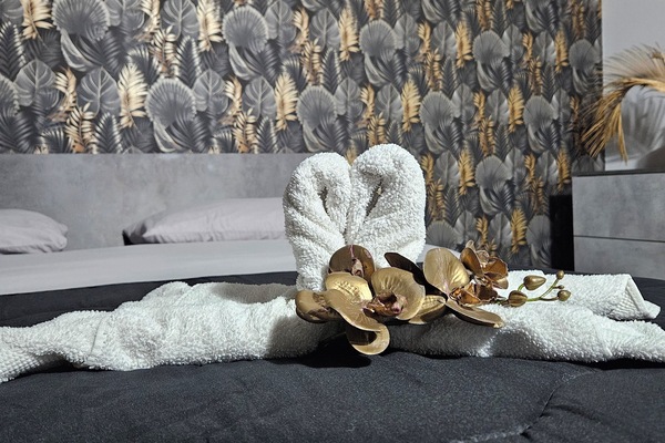 Deluxe Double or Twin Room, 1 Bedroom, Ensuite, Mountain View | Individually furnished, desk, free WiFi, bed sheets