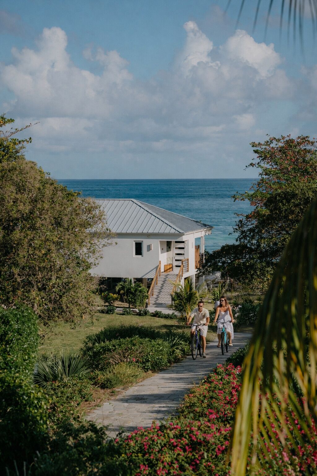 A pathway leading to a white building with a metal roof, surrounded by greenery and overlooking the ocean.