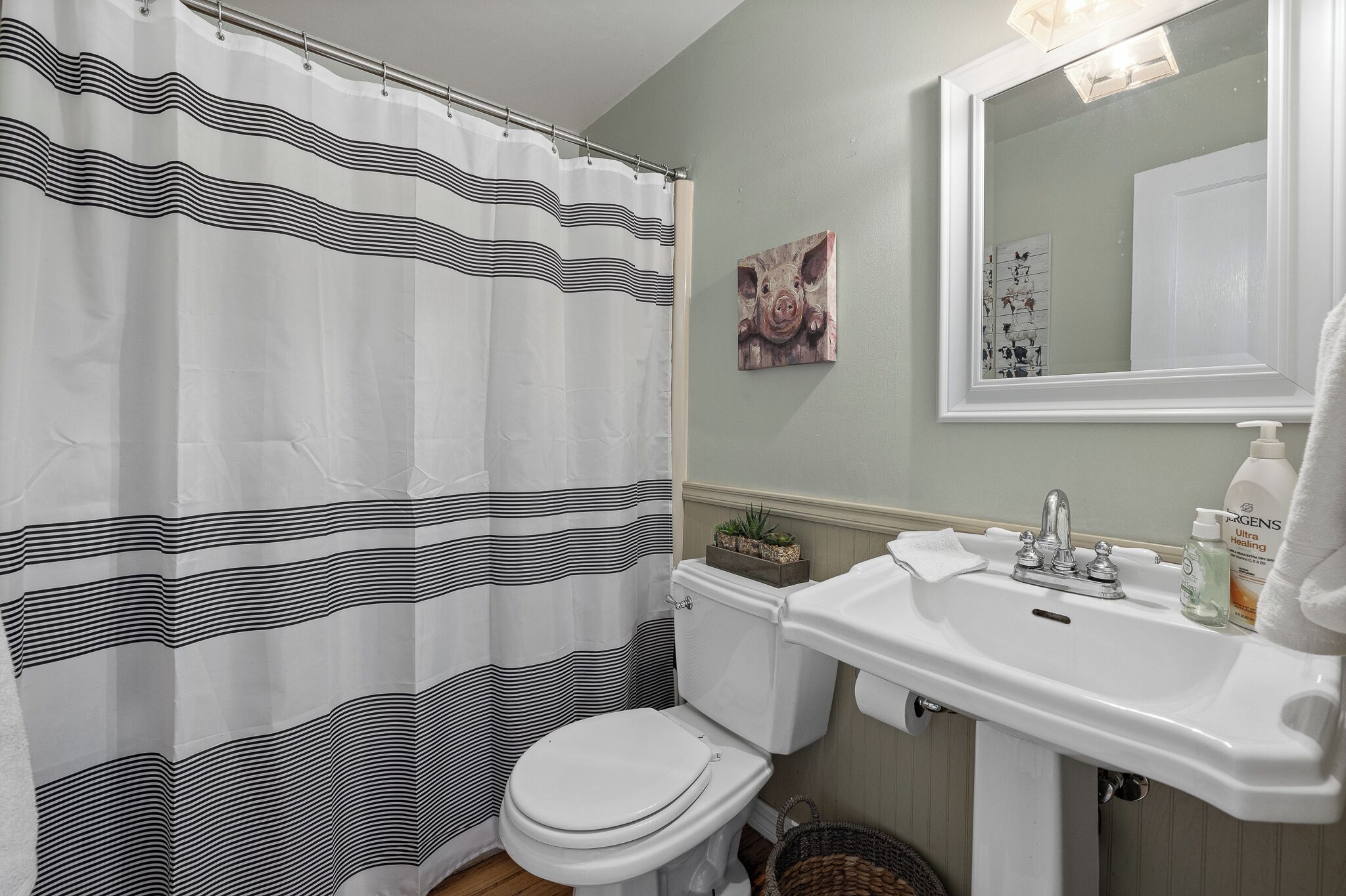 Une salle de bain avec un rideau de douche à rayures, des toilettes, un lavabo avec un miroir et une petite plante posée sur le lavabo.
