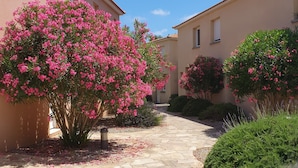 A paved pathway flanked by buildings and flowering bushes. - Villa Jolymelody (Santa-Maria-Poggio)