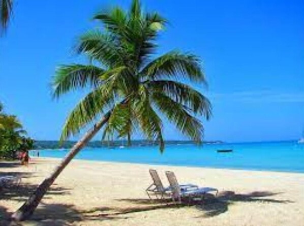 Relax on the beach with two sun loungers, surrounded by a palm tree and the ocean.