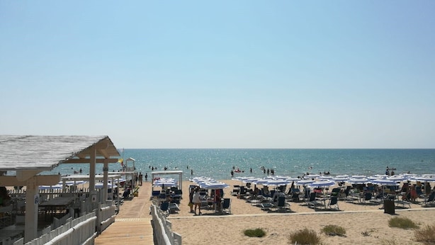 Uma praia com guarda-sóis e espreguiçadeiras, um píer e o oceano ao fundo.