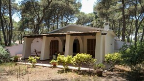 Um pequeno edifício térreo com telhado de cerâmica, rodeado por árvores e plantas em vasos.