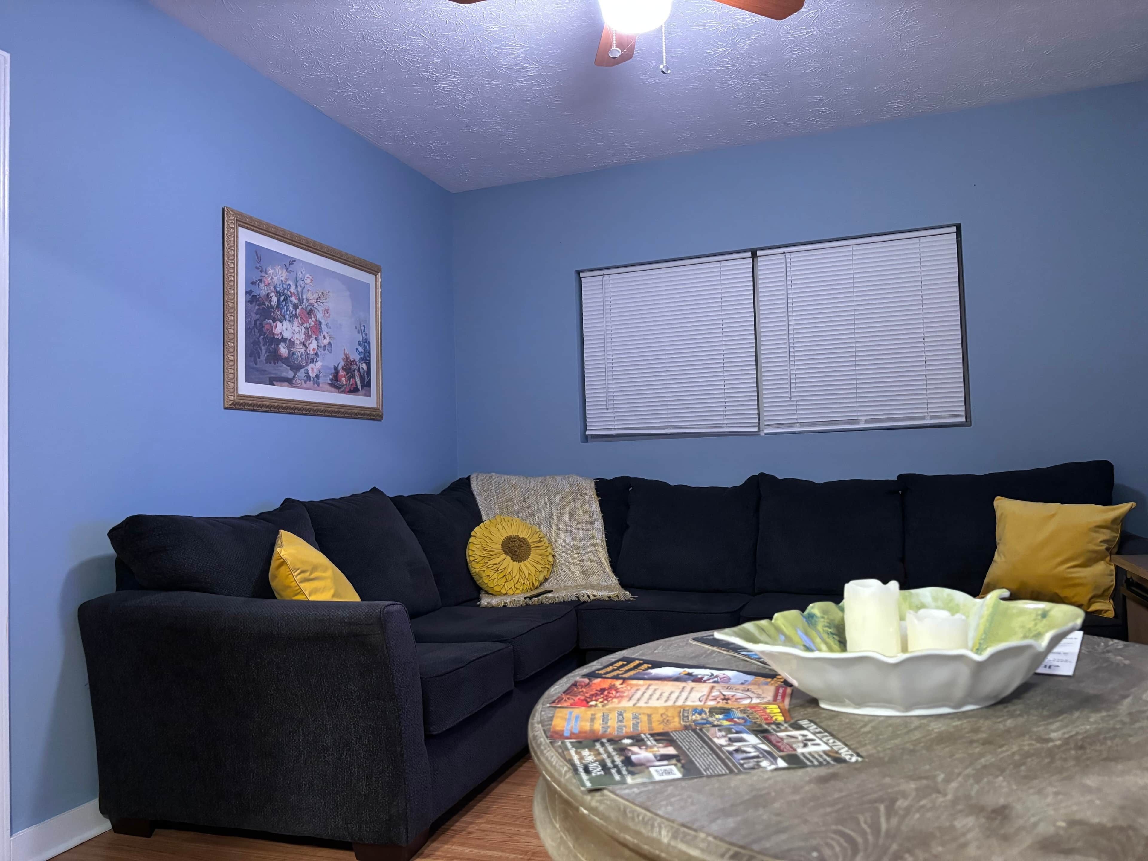 TV