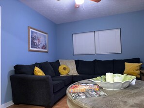 TV