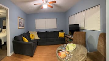 TV