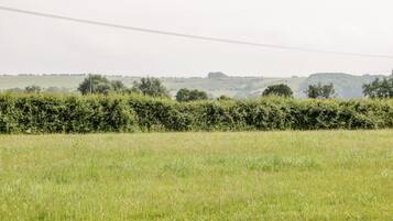 A rural landscape with a field, a hedge, and distant hills.