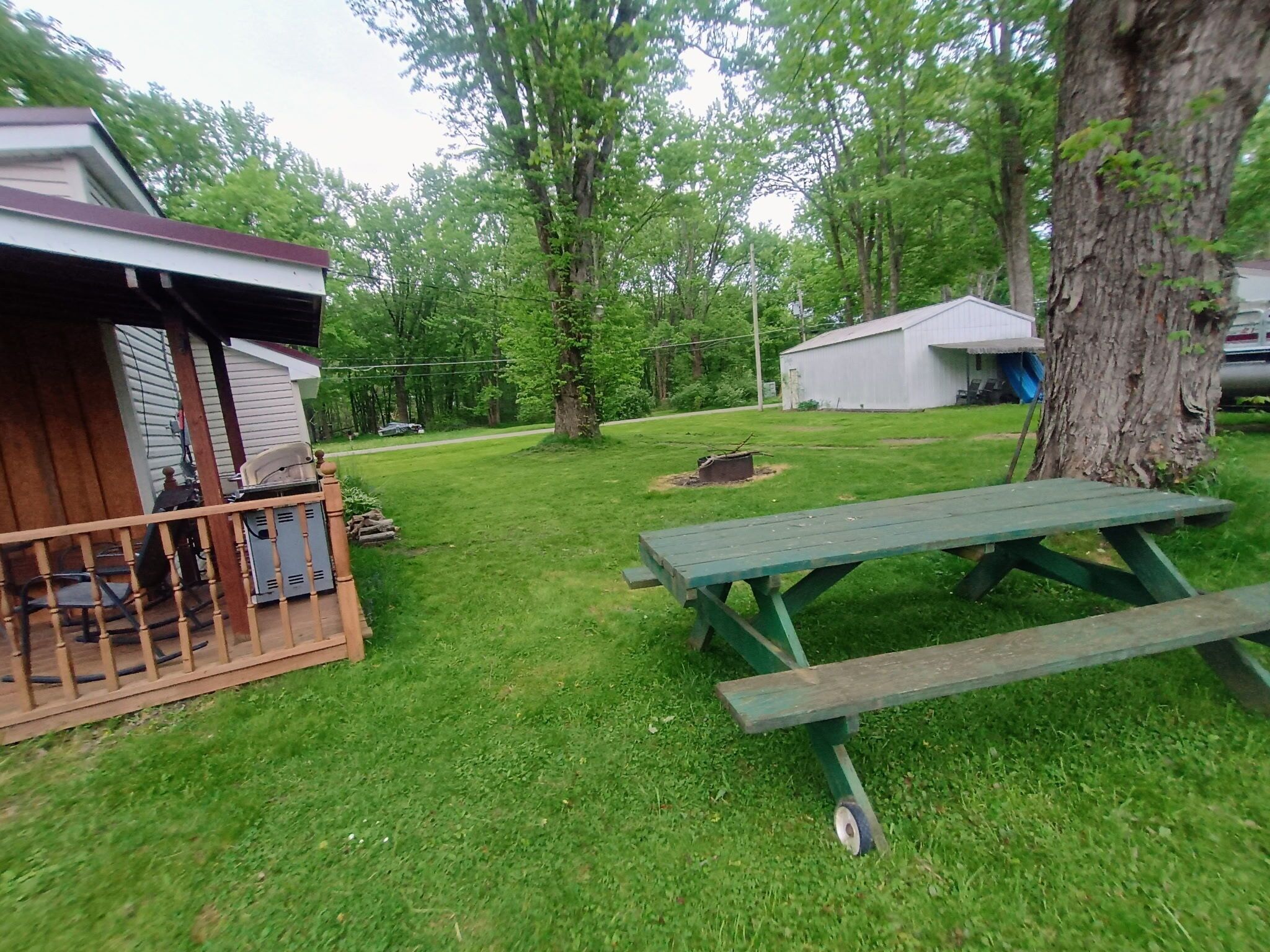 Une cour verdoyante avec une table de pique-nique, un espace de repos abrité et un petit abri de jardin.