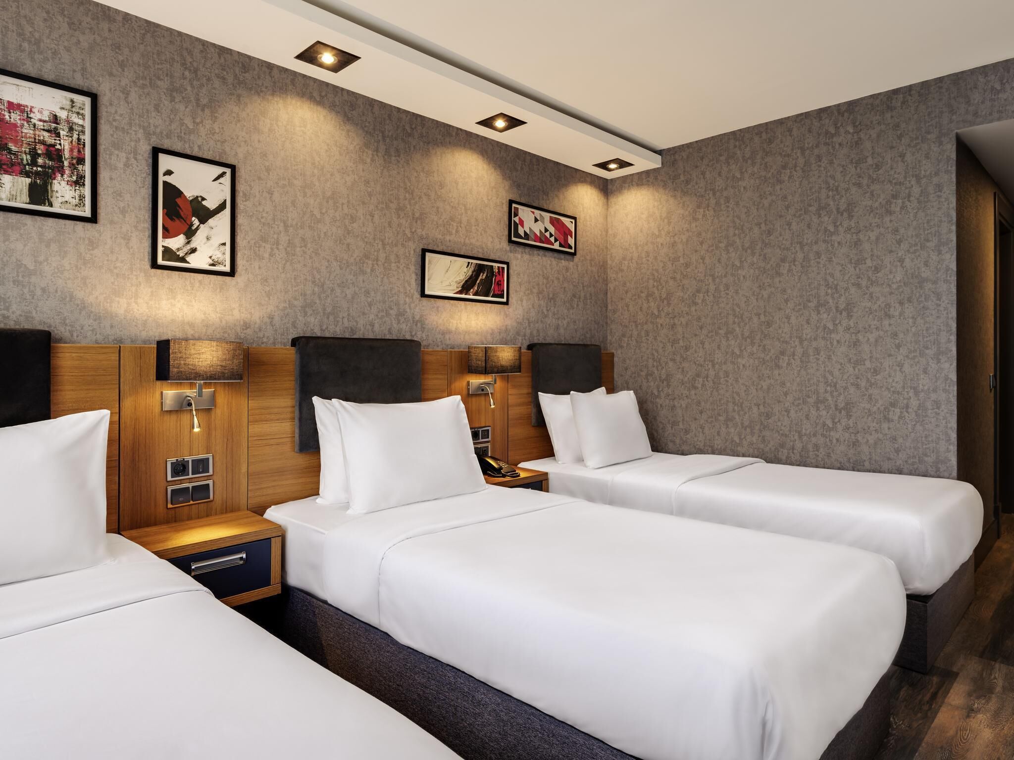 Habitación triple estándar, 3 camas individuales | Minibar, caja de seguridad en la habitación y escritorio 