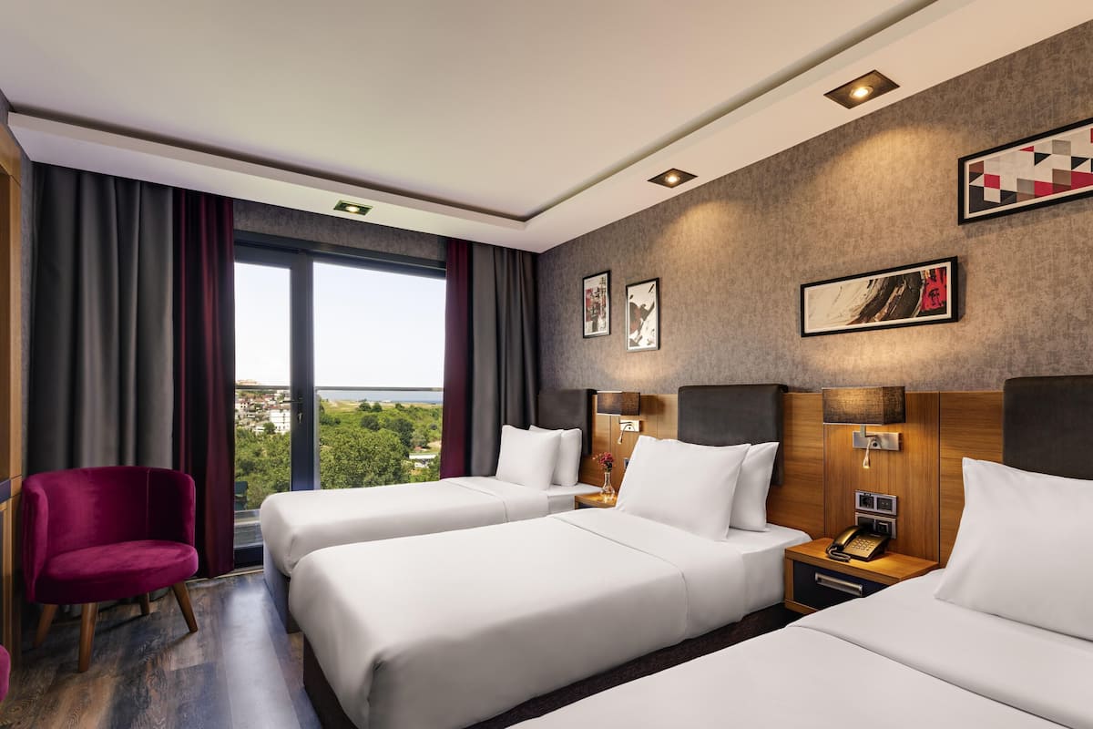 Minibar, coffres-forts dans les chambres, bureau, chambres insonorisées