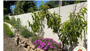 Een tuin met bloeiende planten en een stenen muur.