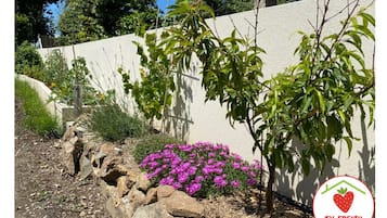 DĂ©tail de lâextĂ©rieur