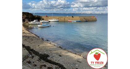 Charming furnished studio with terrace and south-facing garden for 2p, near town