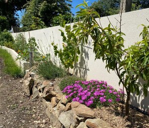 Un jardín con plantas florecientes y un muro de piedra.