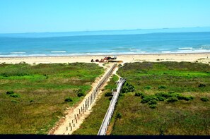 Playa en los alrededores