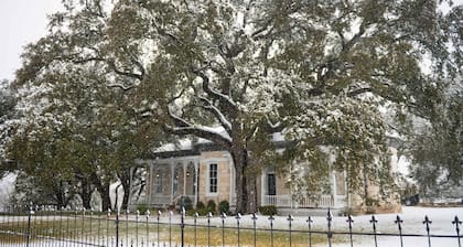 Indulge in an 1875 Romantic Cottage located on beautiful 18 acres!