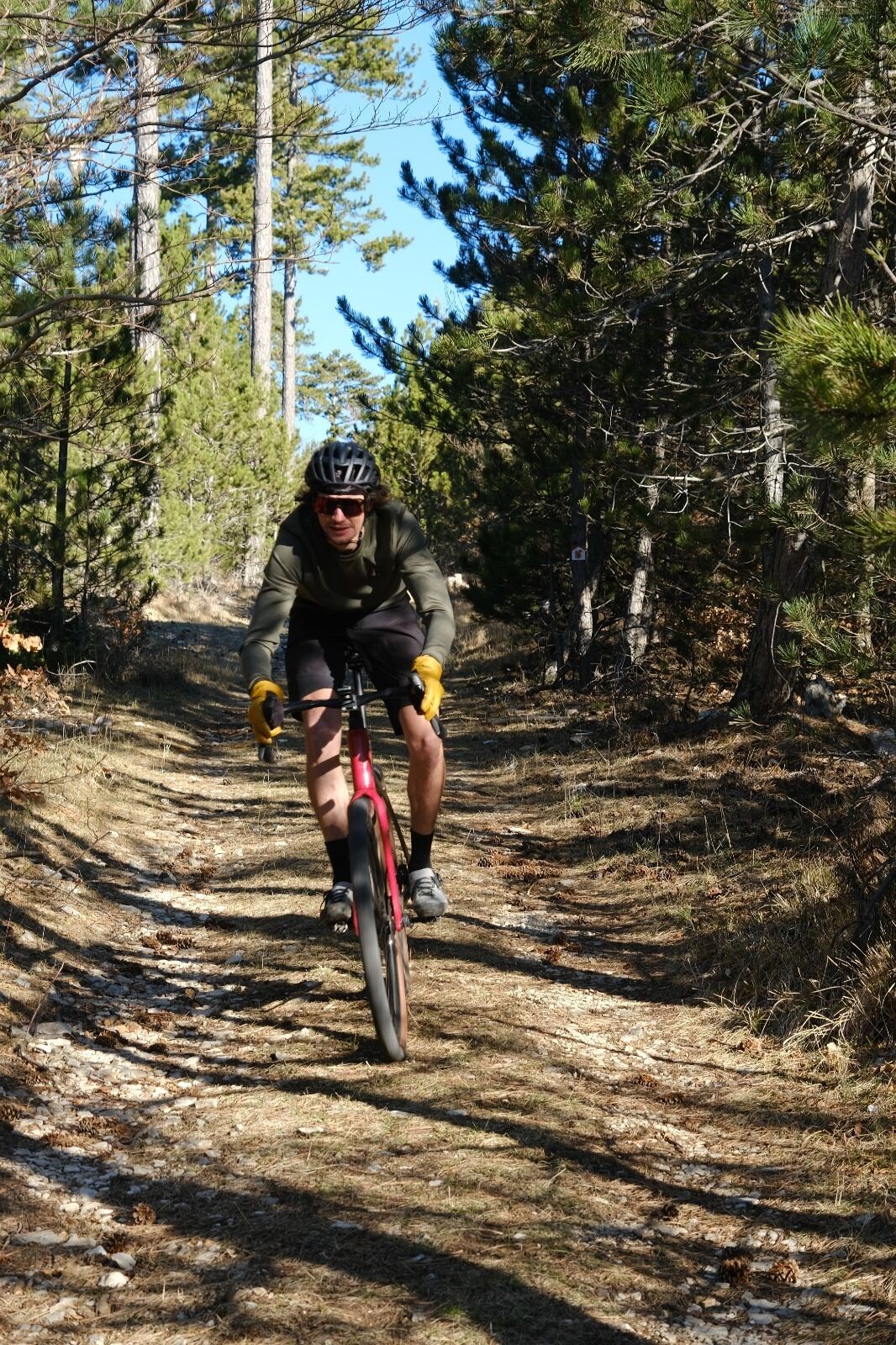 A person riding a mountain bike on a dirt trail surrounded by trees.
