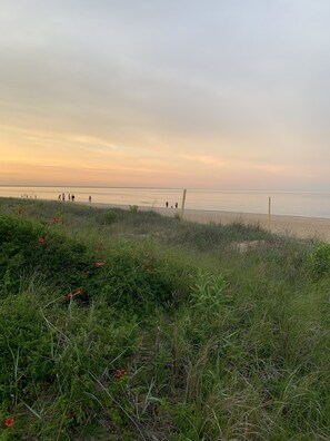 On the beach