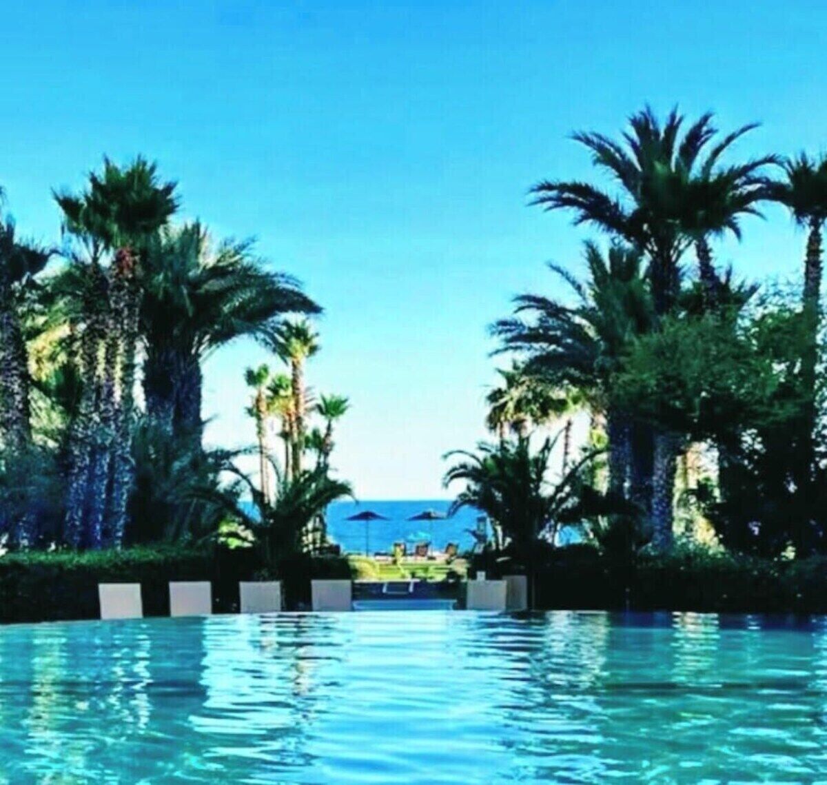 A swimming pool surrounded by palm trees with a view of the ocean.