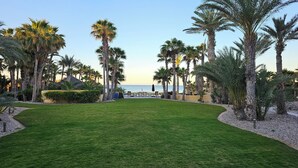 A well-maintained lawn with palm trees, a clear view of the ocean, and a seating area with umbrellas.
