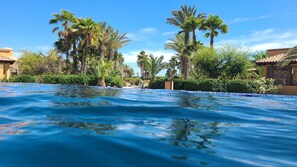 Une piscine à l’eau d’un bleu cristallin, entourée de palmiers et de verdure, sous un ciel dégagé.
