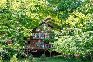 Exterior - Trail Magic - 57 Mountain Laurel Lane (Davis)