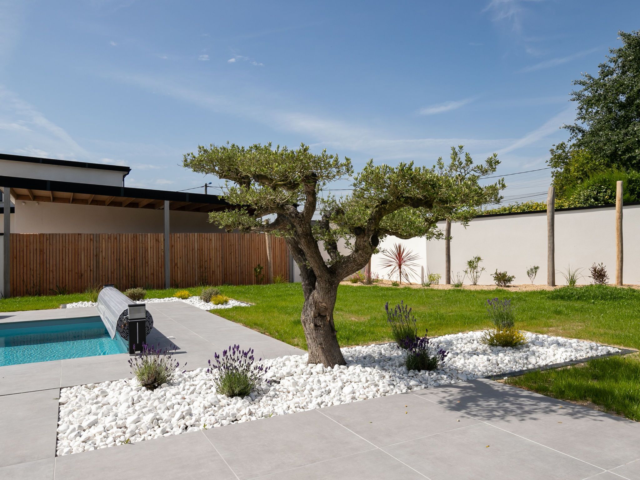 A modern outdoor pool area with a tree, white pebbles, and a wooden fence.