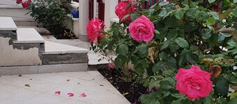 Le Paradis Iyedessil