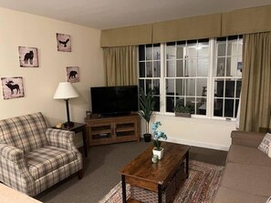 TV, fireplace, DVD player, books - Deluxe Redone Country Inn Suite at Jiminy-Sleeps 4 - Ski On/Off at Mountain Base (Hancock)