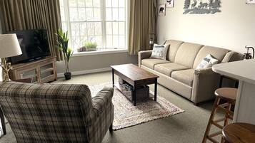 TV, fireplace, DVD player, books