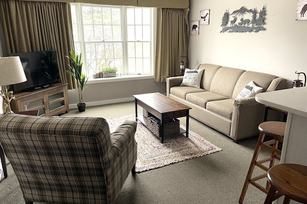 Comfortable Living Room with Pullout Queen Sofa Bed and Smart TV with Full DVD Library and Board Game library for those nights in.