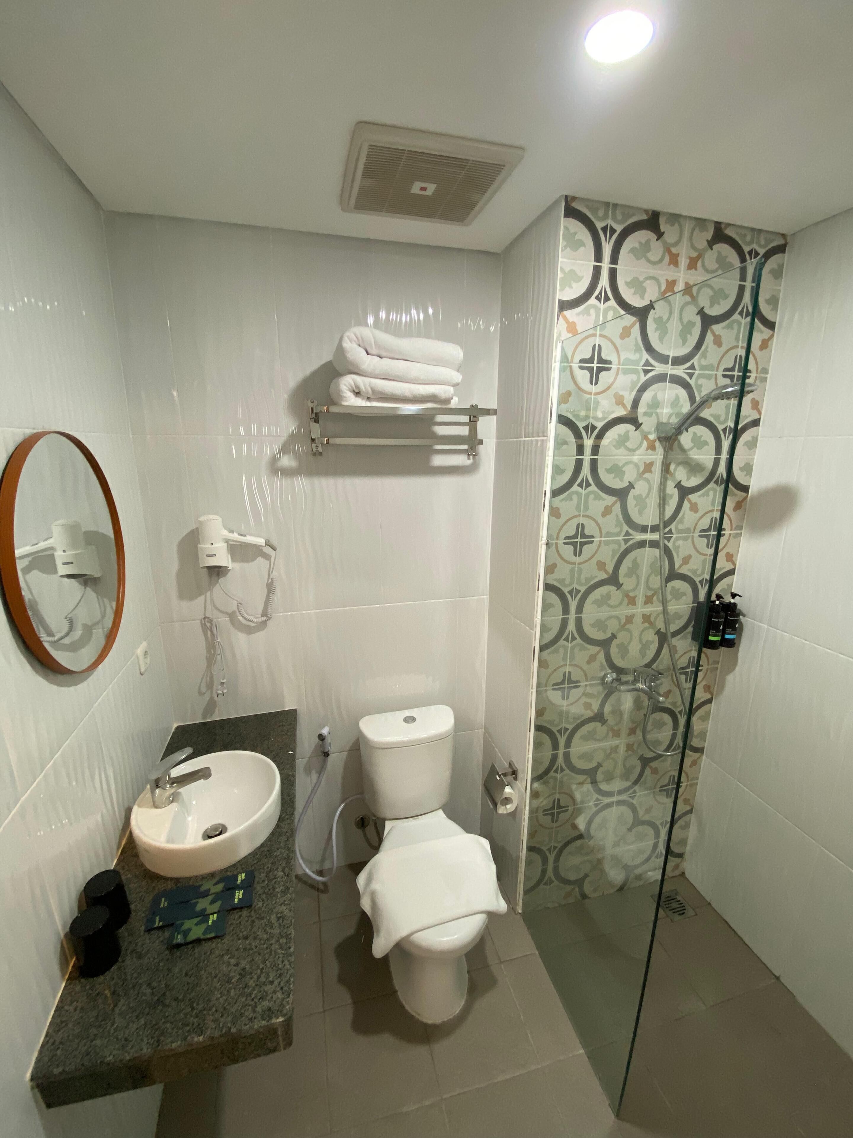 Une salle de bain avec un lavabo, des toilettes et une douche.
