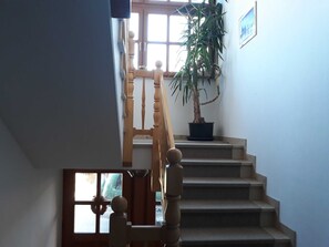 A staircase with a wooden handrail, a potted plant, and a window with a view.