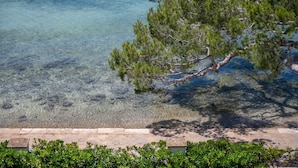 Ein ungehindertes Blickfeld auf einen Strand mit einem Baum im Vordergrund und dem tiefblauen Meer.