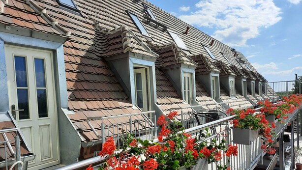 A row of terraced houses with dormer windows and a balcony with red flowers. - Zimmer 5 - Seenland-oase Reppist (Senftenberg)