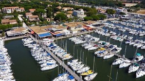 Een jachthaven met tal van boten afgemeerd in een haven, omringd door gebouwen en begroeiing.