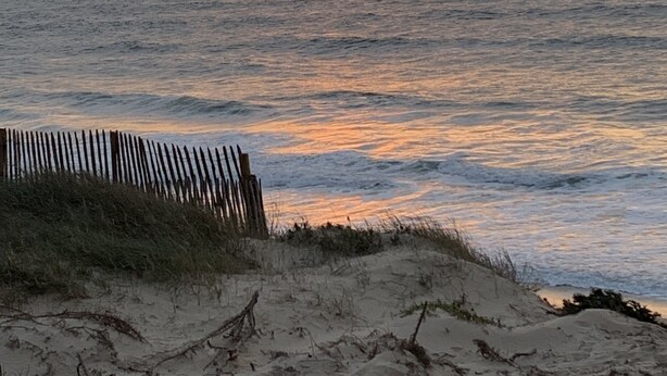 A beach with a wooden fence and sand dunes. - Small house in village center with large garden, 7km from beaches.   (Lit-et-Mixe)