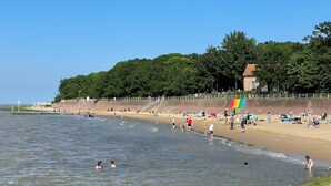 A beach with people swimming and walking along the shore, a grassy area with flowers, and a building with a red roof in the background.