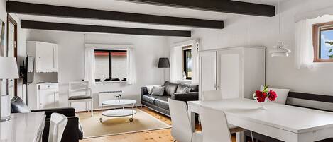 Älytelevisio, takka